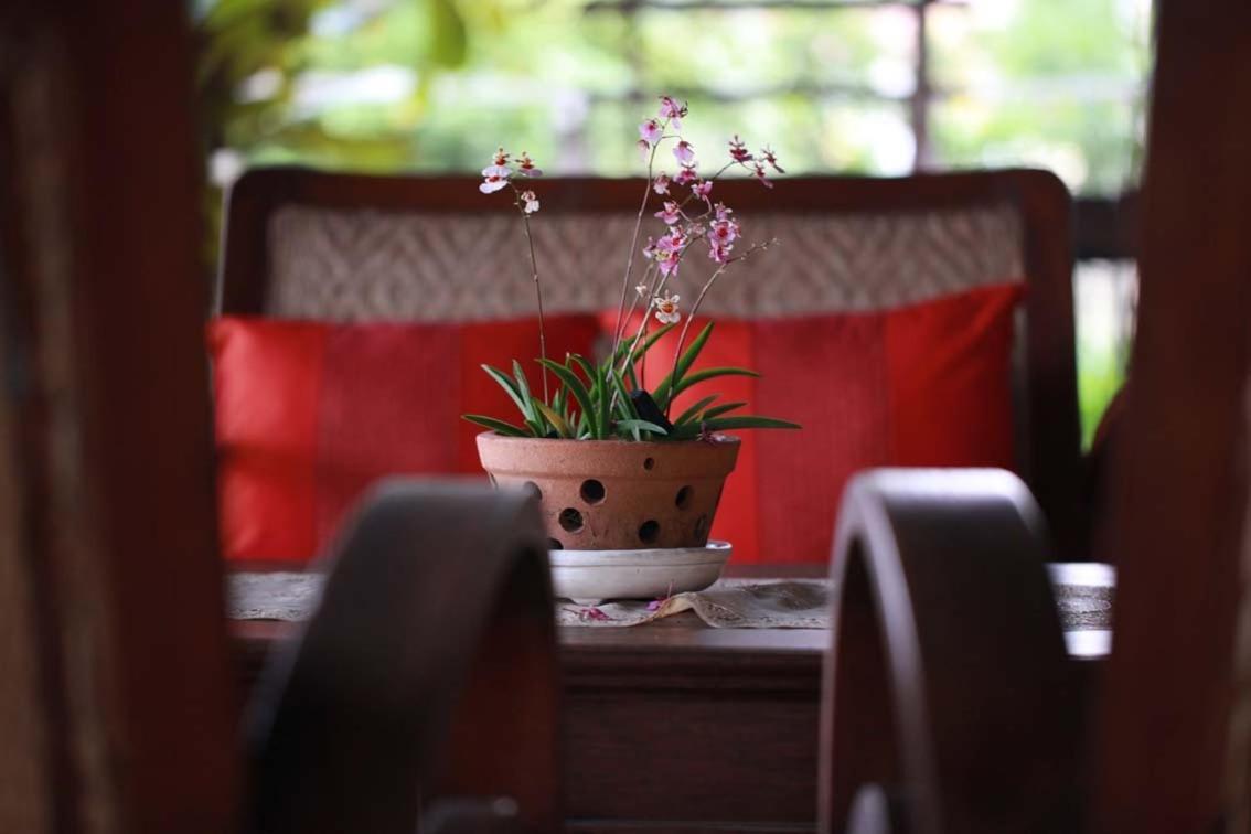 Baan Tye Wang Guesthouse Phra Nakhon Si Ayutthaya Esterno foto