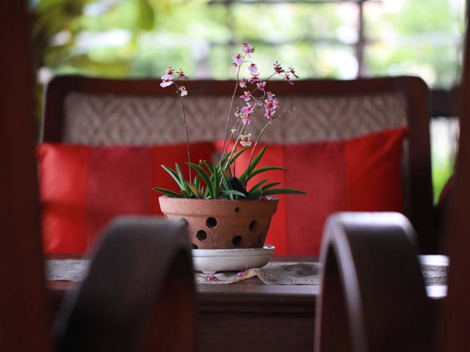 Baan Tye Wang Guesthouse Phra Nakhon Si Ayutthaya Esterno foto